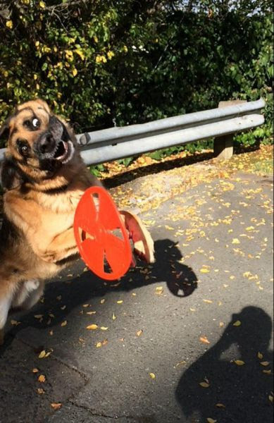 Daily Picdump