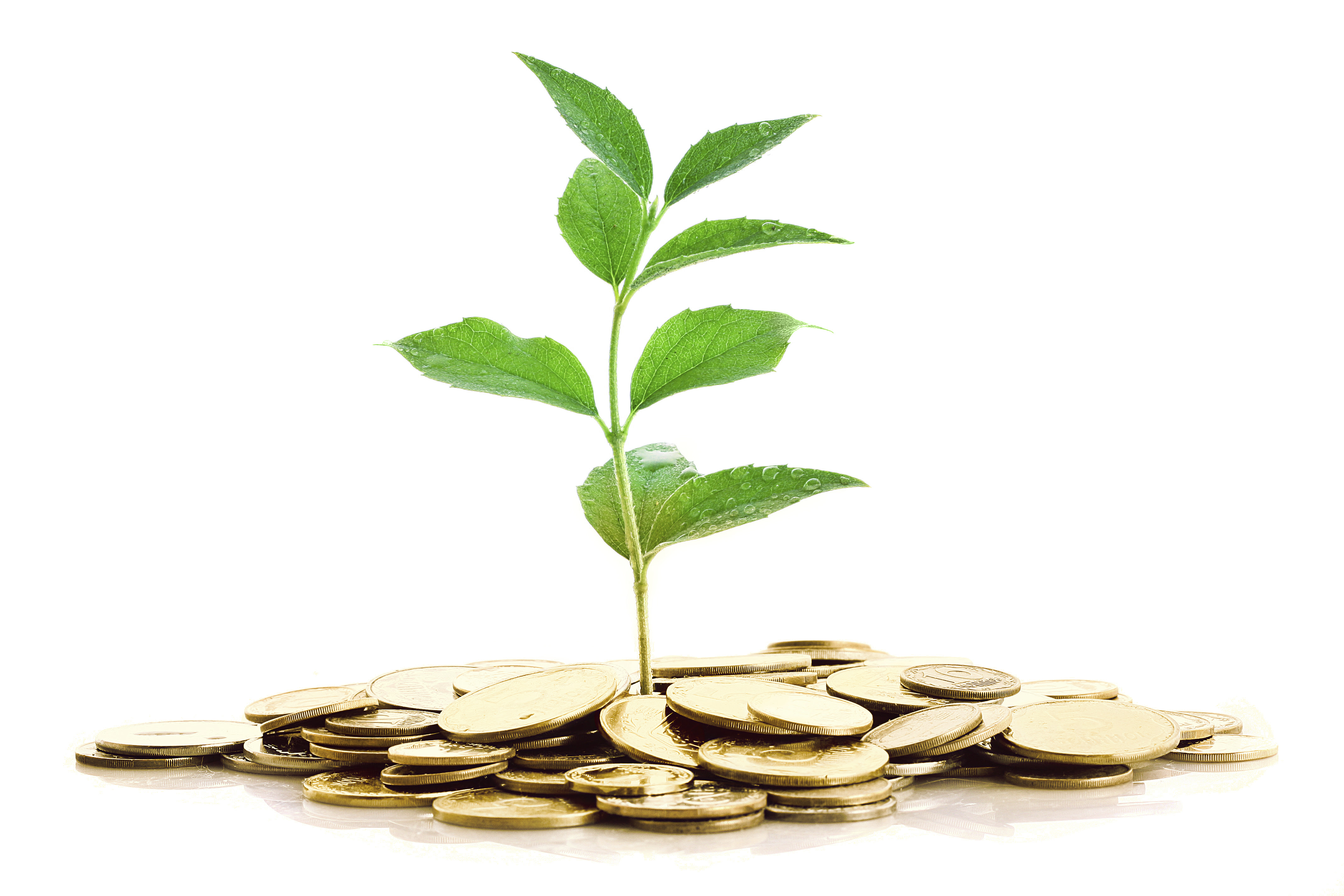 Produk Investasi Apa yang Cocok buat Saya? - Finansialku 