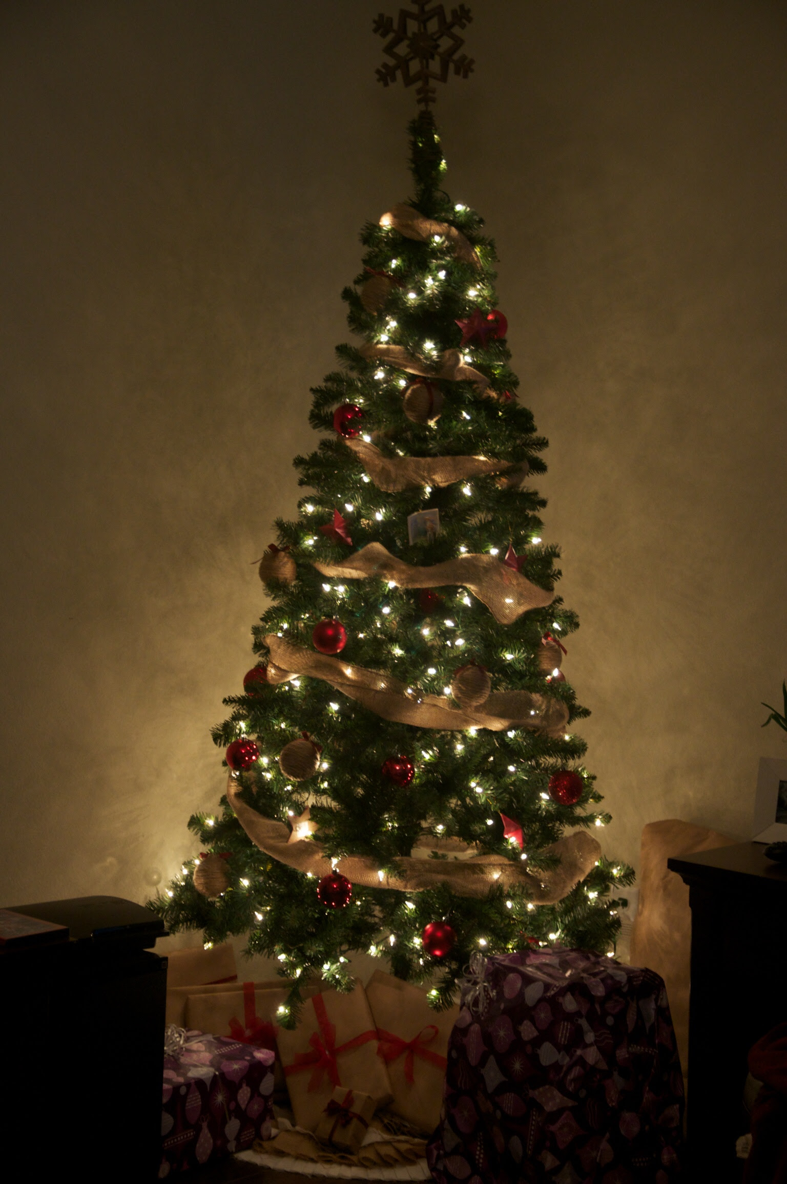 photo 5 (3)