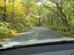Leafer Trip 3