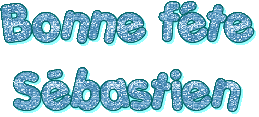 Bonne Fete Sebastien Texte Gif