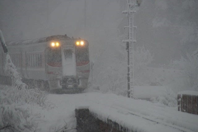 今では寒い画像ですが2月の大雪 民宿半兵衛のおやじのひとり言