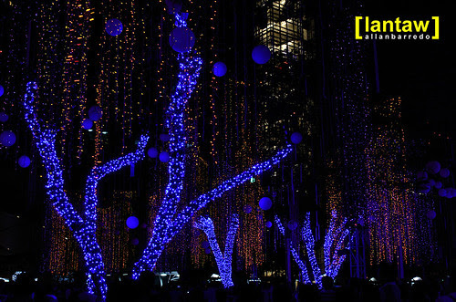 Ayala Lights 6