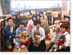 福岡 北九州 小倉癒しのふれあい犬カフェ かたのだ