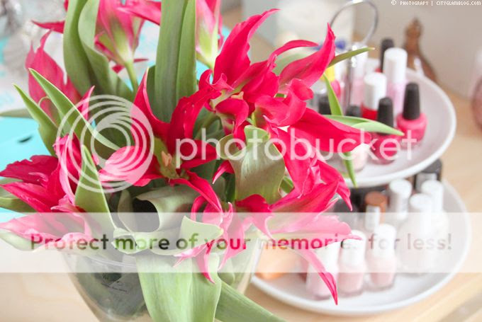 http://i402.photobucket.com/albums/pp103/Sushiina/cityglam/room4.jpg
