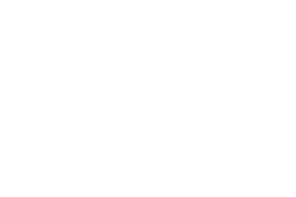 星 レース素材専門サイト Da Lace ダ レース