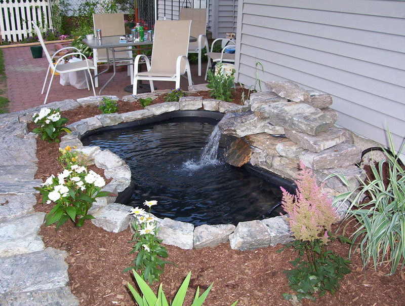 Small Backyard Koi Pond