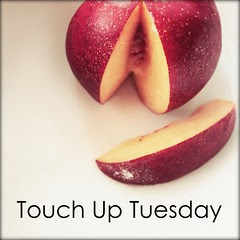 Touch Up Tuesday's at the Paper Mama