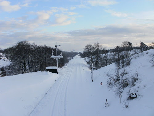 North York Moors 031210 024