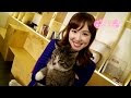 猫 カフェ 写真 229691-猫カフェ 写真 フリー