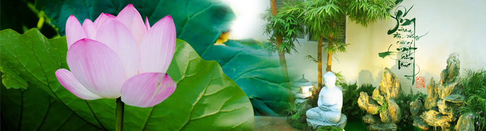 http://senhongvn.files.wordpress.com/2013/03/banner.jpg