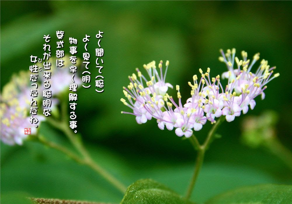 No 532 紫式部 花言葉 聡明 知性 賢さ 上品 愛され上手 なおかつ フォトエッセイ