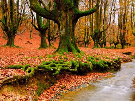 With the world still dramatically slowed down due to the global novel coronavirus pandemic, many people are still confined to their homes and searching for ways to fill all their unexpected free time. Wallpapers For Gt Beautiful Scenery Desktop Beautiful