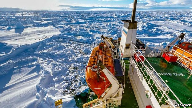 Фото предоставлено Centre of Excellence for Climate System Science Университета Новый Южный Уэльс и снято Andrew Peacock: www.footloosefotography.com