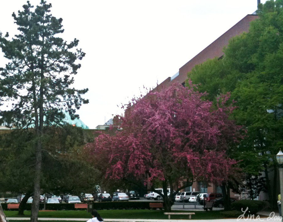 Day 121 - April 21st