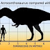 Allosaurus Size Comparison To T-Rex / The allosaurus was far quicker, had longer arms, and used stealthy hunting methods to kill its foes.