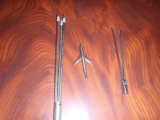 スピアフィッシング 魚突き 野生化の時代 ｚａｋｉのblog