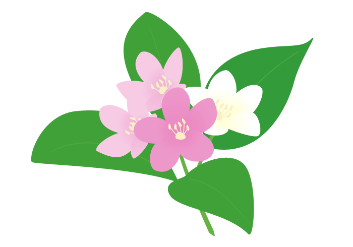 ハコネウツギの花 無料のフリーイラスト素材集