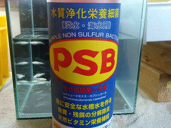 ｐｓｂどうでしょう チャーム金魚 メダカブログ