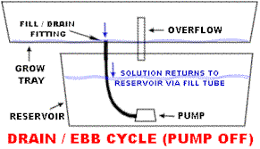 Hidroponik EBB and flow (flood and drain)