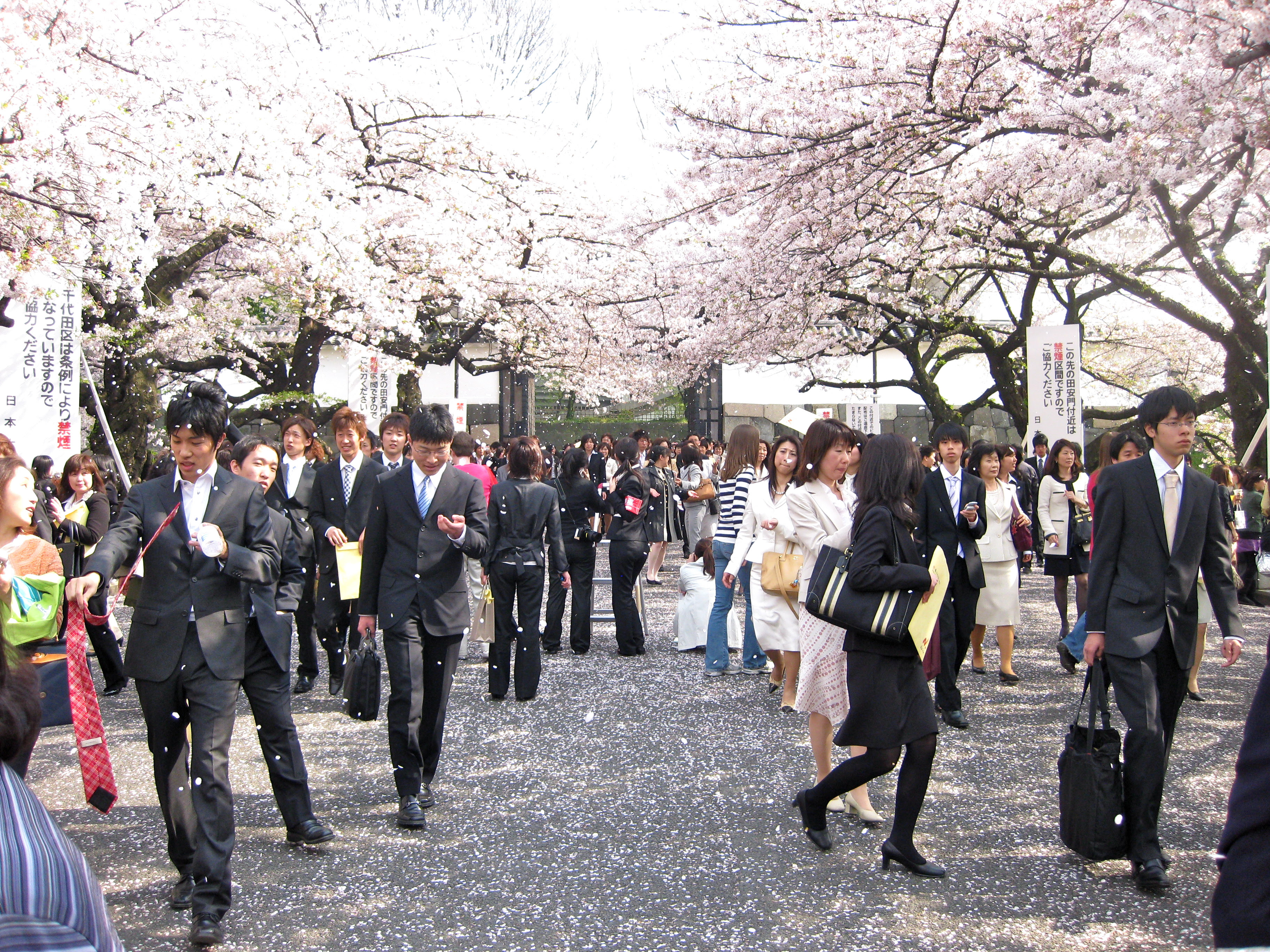  Photographs From a Fellow Japan Traveler  Smart amp; Cheap Japan Travel