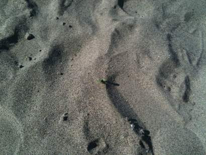 beach view