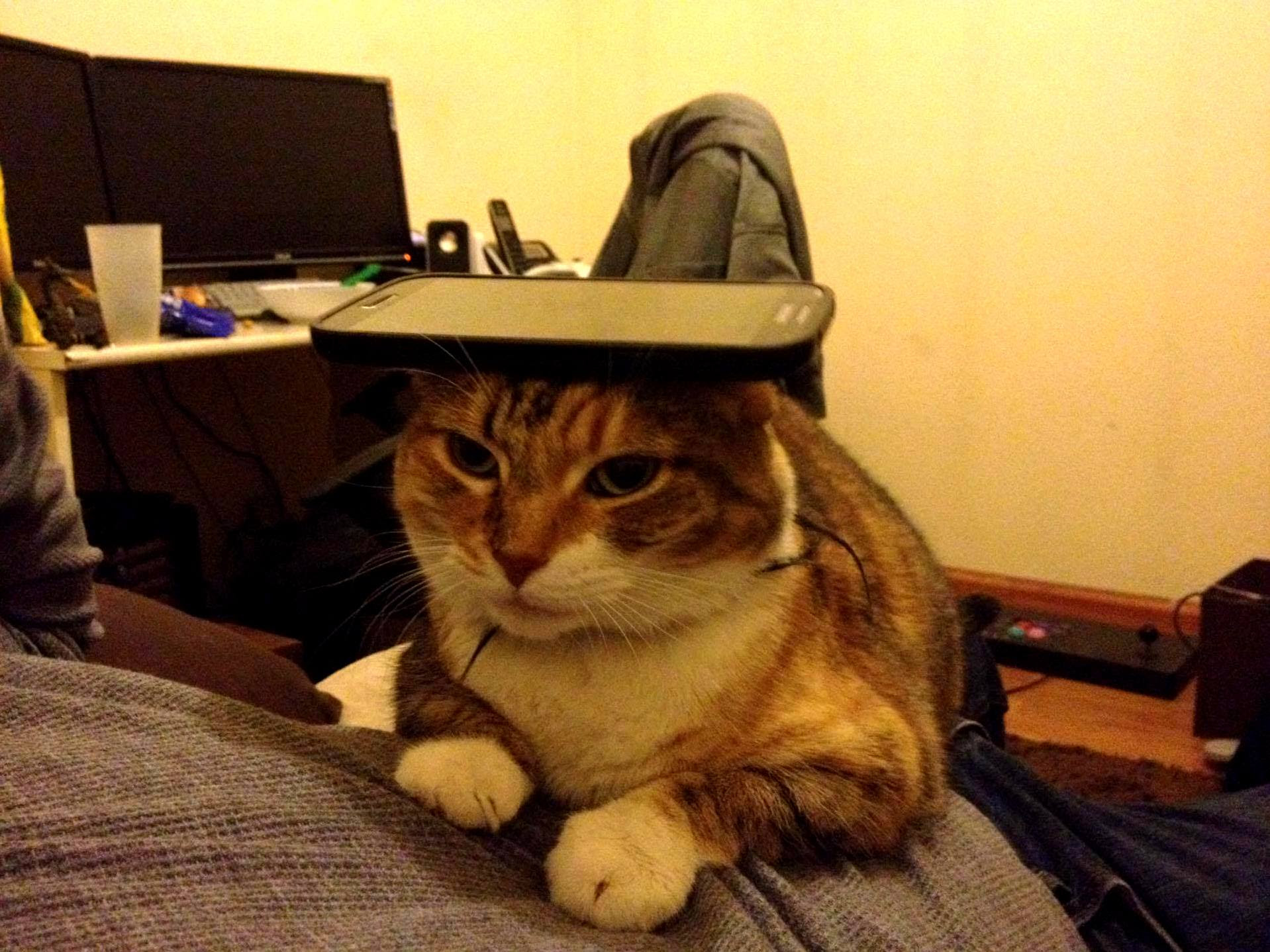 Got myself a new wireless phone charging station