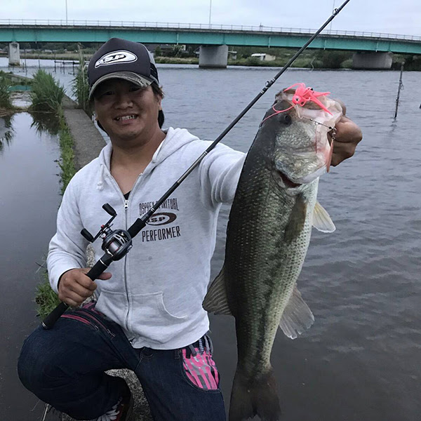 ６月の霞ヶ浦水系オススメルアーをご紹介 O S P Inc