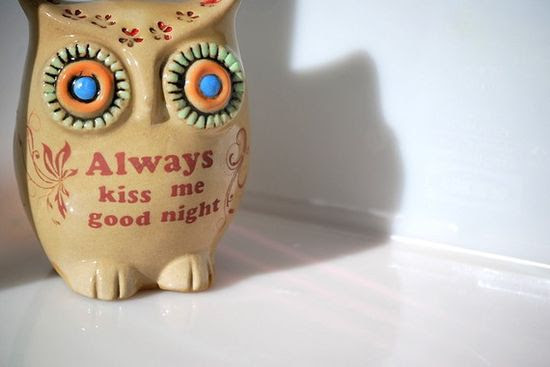 Love this little owl