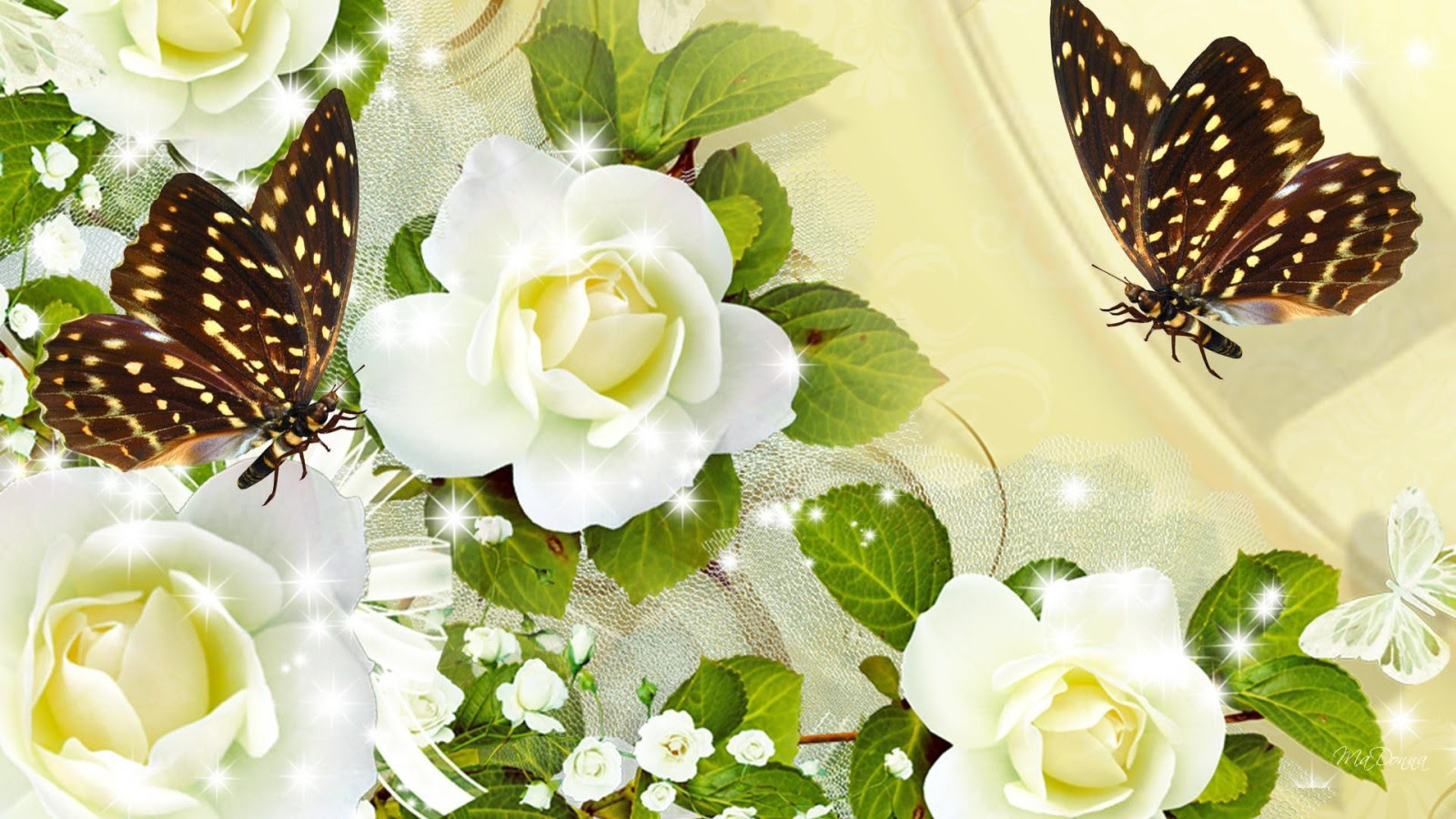 Sparkle Of Cream Roses HD desktop wallpaper : Widescreen : High 