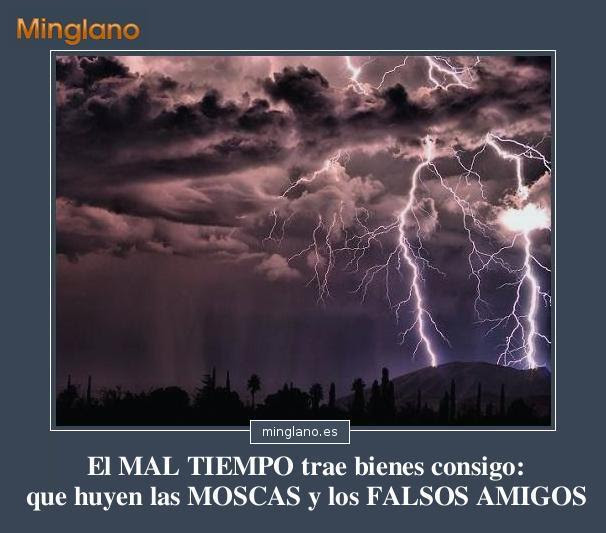 REFRANES para AMIGOS FALSOS