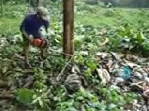 JATI UNGGUL NUSANTARA