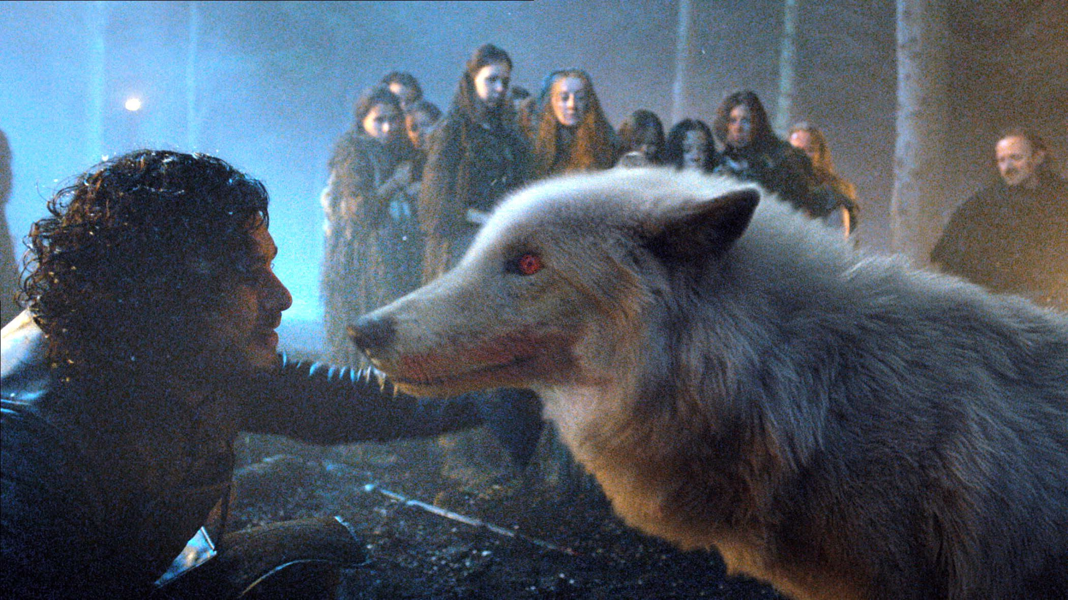  ghost  and jon Game  Of Thrones  Ghost  Photo 37080265 