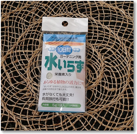 留守中の植物の水やりグッズ My Sweet Honey