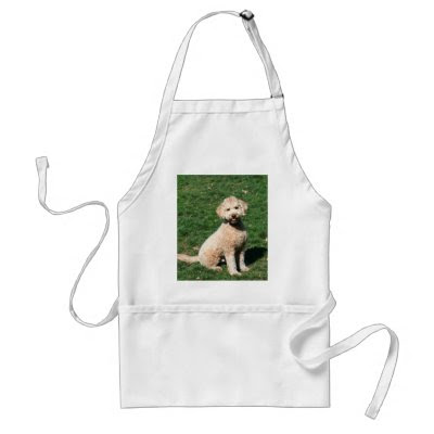 miniature goldendoodle puppy. Mini Goldendoodle puppy apron