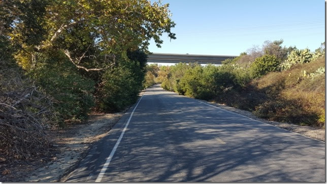 long run route orange county blogger (800x450)