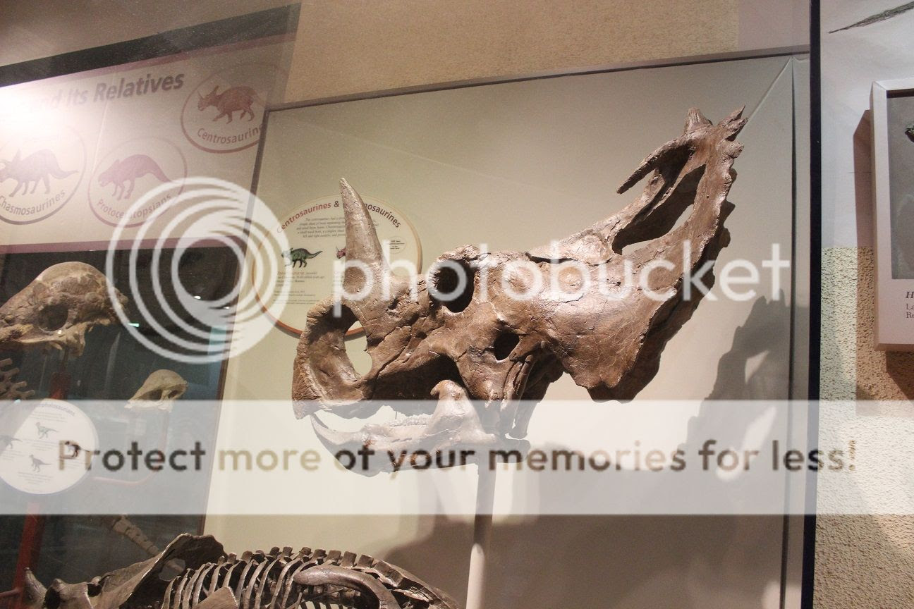 photo Smithsonian24_zps174910e5.jpg