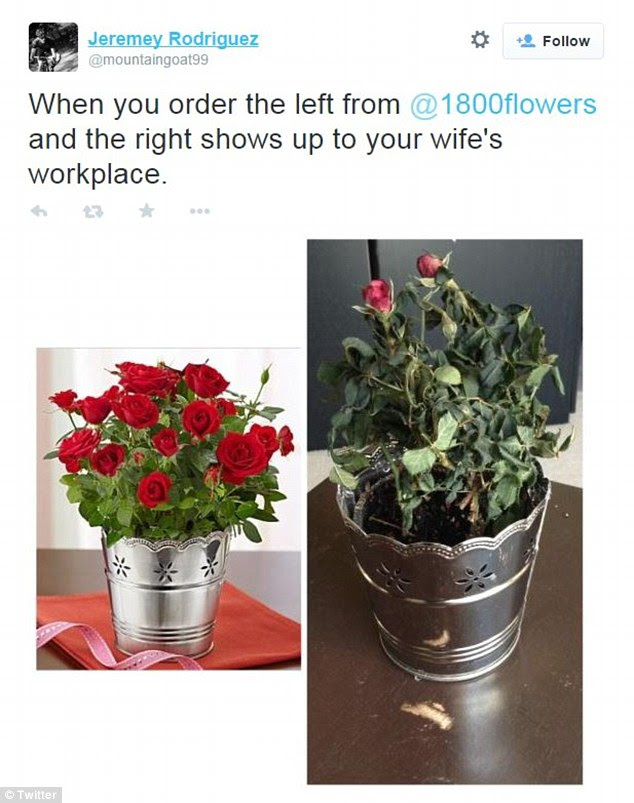 1-800-Flowers customers complain about wilted Valentine's ...