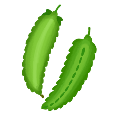 うりずん豆 シカクマメ Aの無料素材 イラスト沖縄 おきなわ