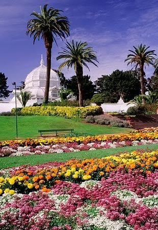 Concepts Beautiful Flower Garden