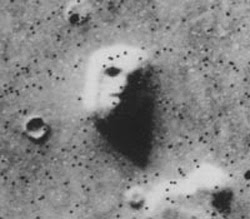 cydonia cara