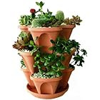Garden & Outdoors <br> Up to 50% off