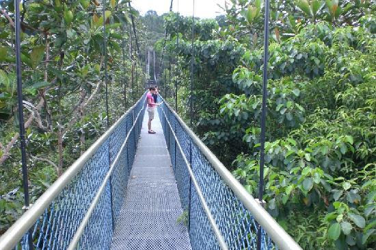 MacRitchie Nature Trail Singapore Location Map,Location Map of MacRitchie Nature Trail Singapore,MacRitchie Nature Trail Singapore accommodation destinations attractions hotels map reviews photos pictures