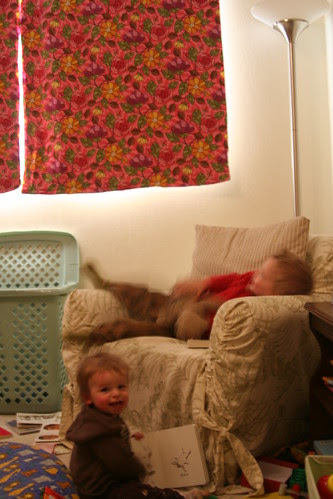 rosey curtains