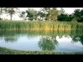 Homes With Ponds For Sale : FISH POND FOR SALE in Hinigaran Negros Occidental Homes ... - Great opportunity to own a year round home on long pond with amazing western exposure in a sought out area.