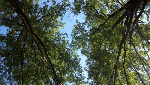A nice shady rest stop to escape the heat