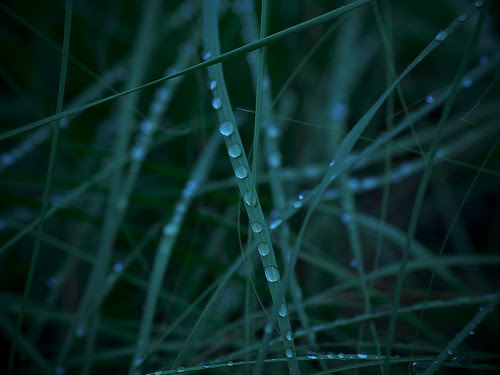 _8052243
