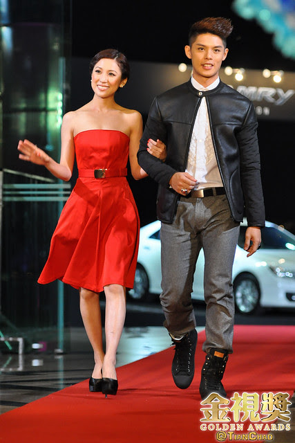 NTV7 Golden Awards Red Carpet Photos @ PICC