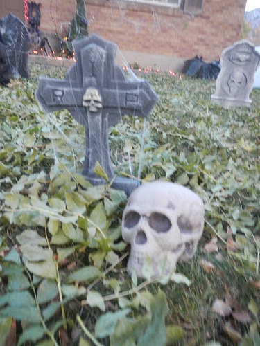 DSCN1957