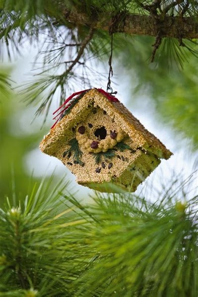 Creating A Backyard Birdhouse-Themed Room With A Relaxed Silo Structure